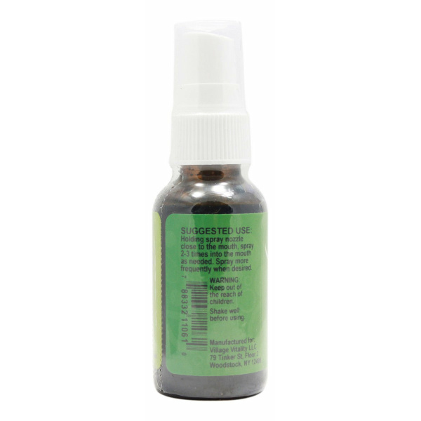 Peppermint Breath Spray with Chlorophyll - 1 oz Liquid - Info