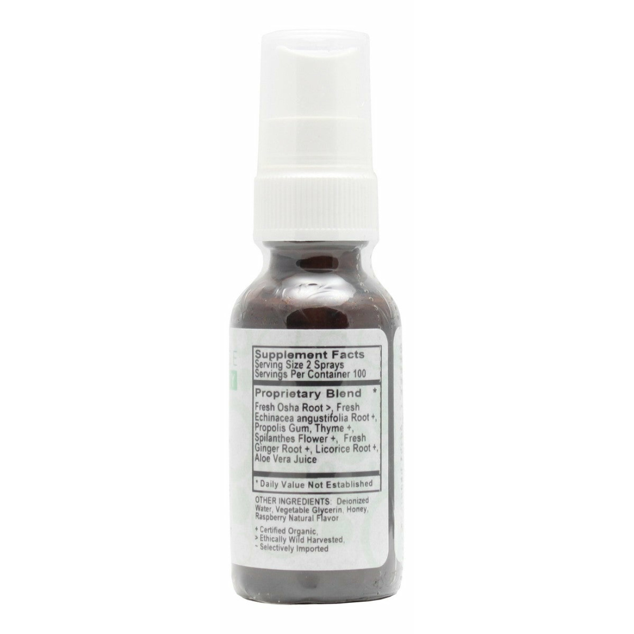 Throat-Ease Spray (Alcohol Free) - 1 oz Liquid - Supplement Facts