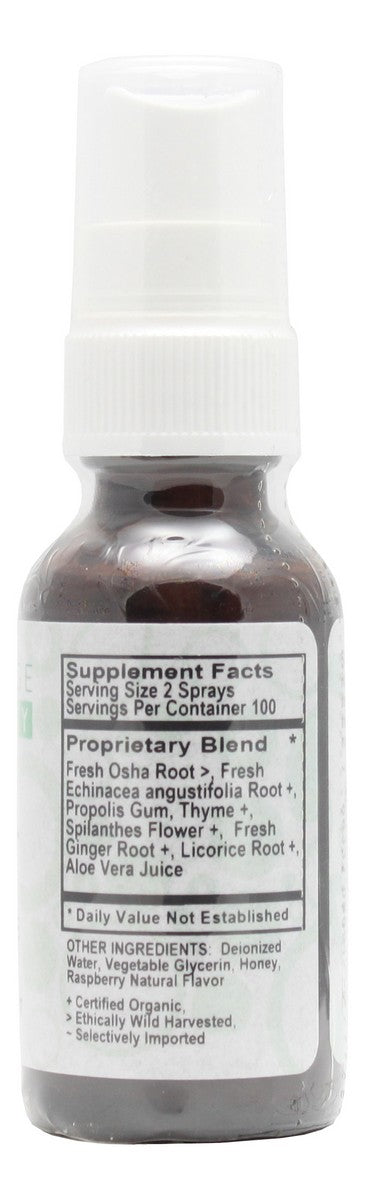 Throat-Ease Spray (Alcohol Free) - 1 oz Liquid - Supplement Facts