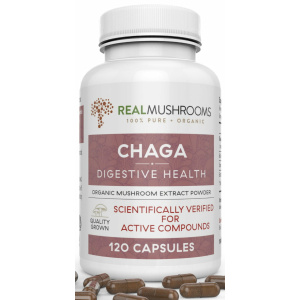 Chaga - 120 Capsules