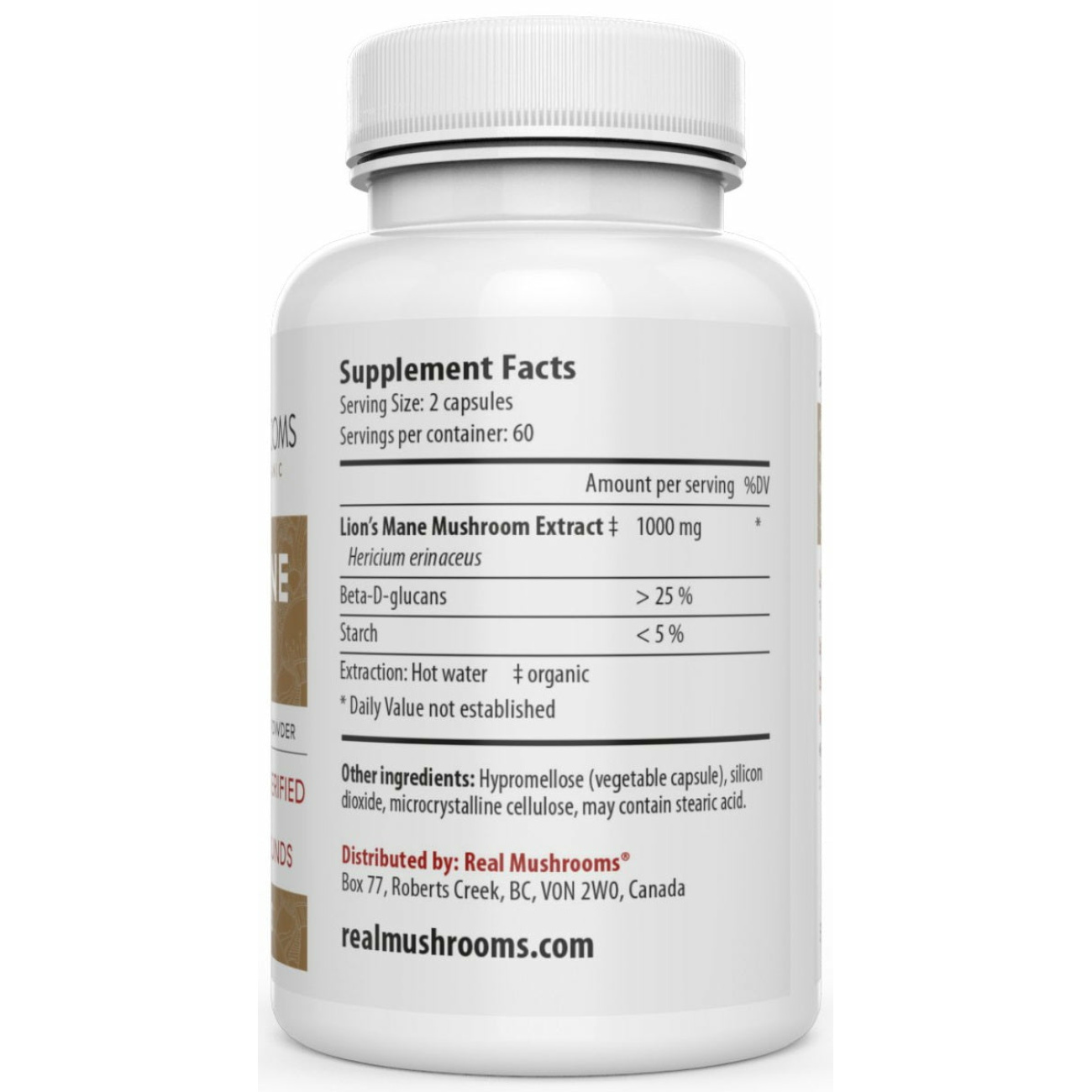 Lion's Mane - 120 Capsules