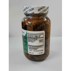 Elderberry Plus (Sambucus) - 90 Capsules
