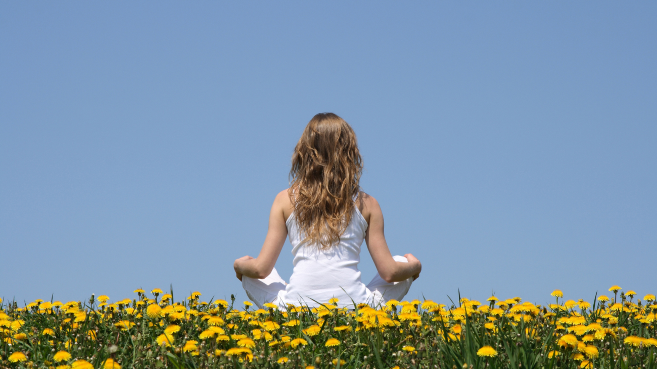 Stress Management Part 1: A Holistic Framework for Living with Stress