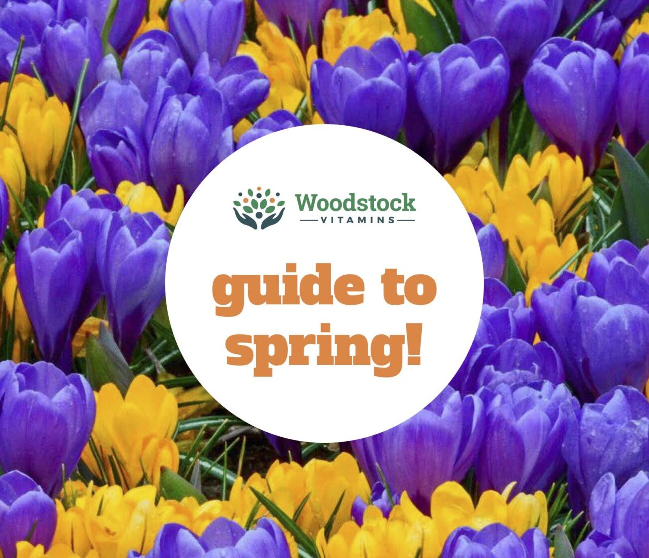 Guide to Spring Ebook: Say Goodbye to Springtime Woes