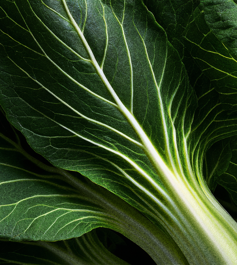 Calcium (di-calcium malate)