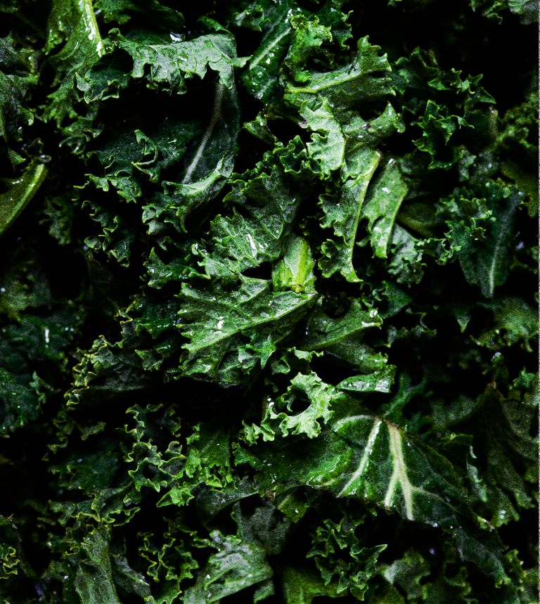 Folate (5-MTHF)