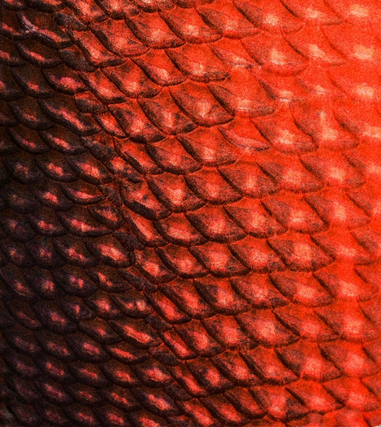 Alaskan Fish Oil Concentration