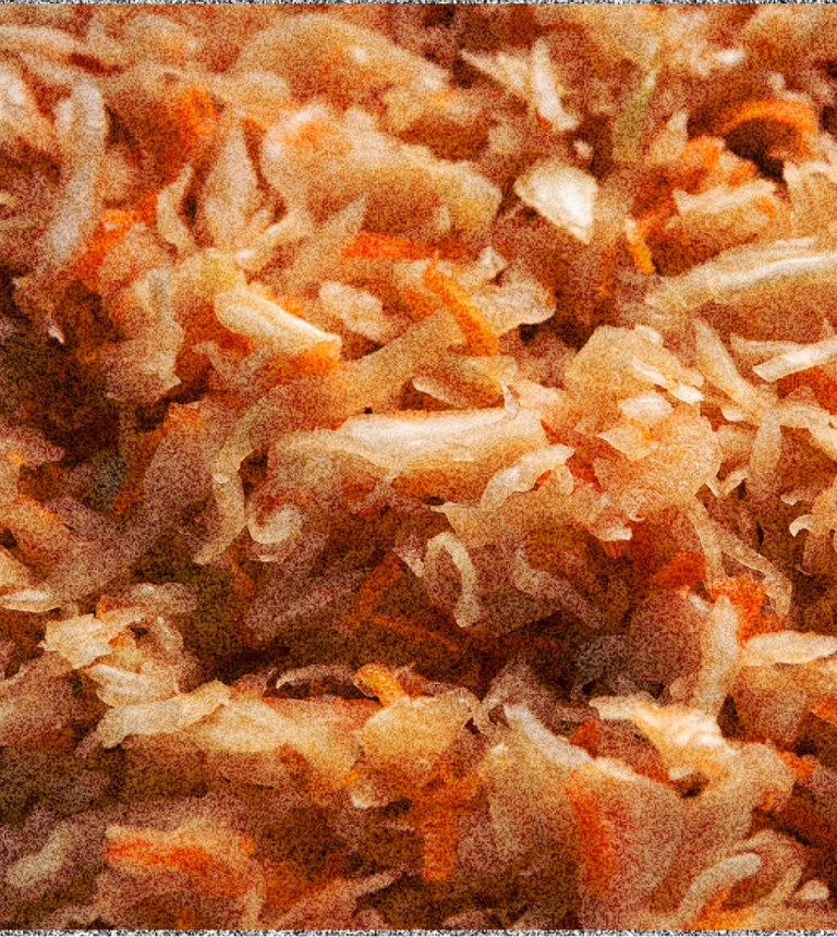 Bifidobacterium Longum